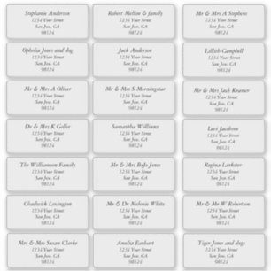 Genomskinliga Adressetiketter för vanliga mottagar Klistermärken