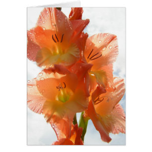 Genomskinliga Gladiolas Hälsningskort