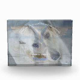 Genomskinligt bildöverlägg för akrylisk foto i sva