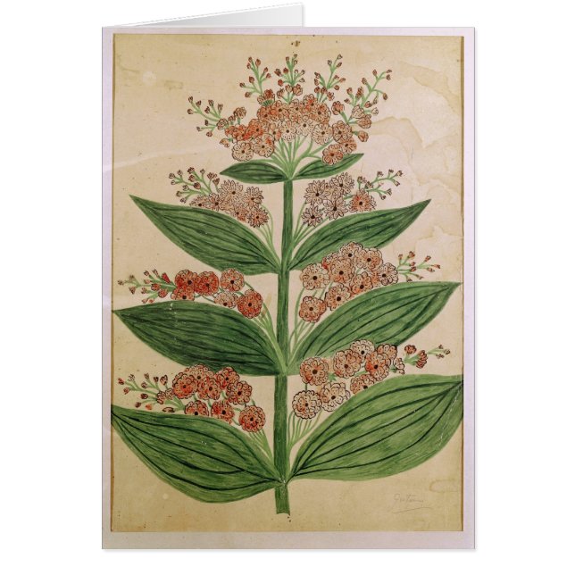 Gentian med imaginära blommor hälsningskort (Framsidan)