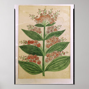 Gentian med imaginära blommor poster