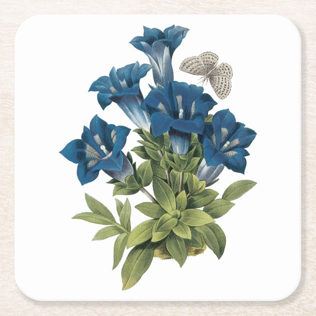 gentiana (Gentianae acaulis) från Redouté Underlägg Papper Kvadrat (Framsidan)