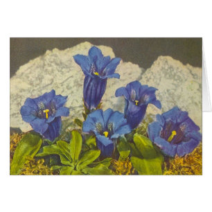Gentianblomma Hälsningskort