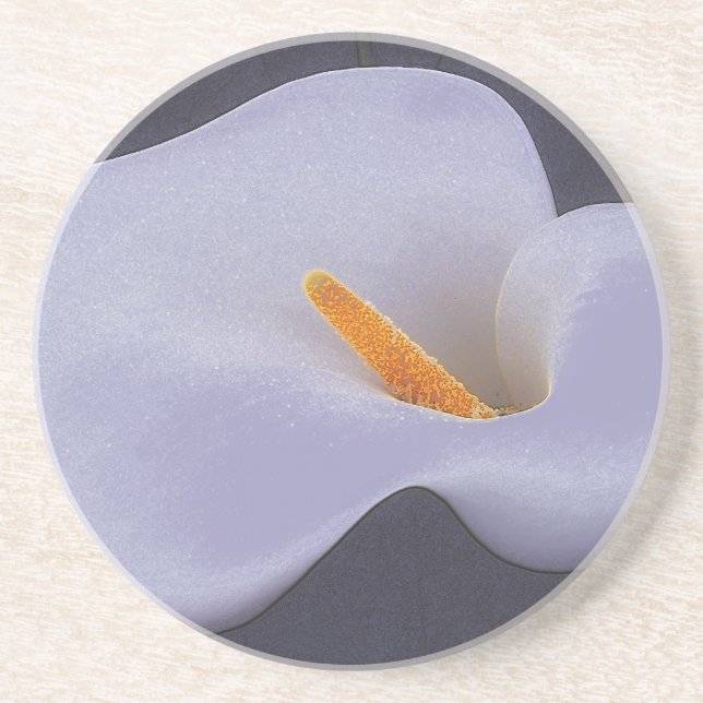 Gentle Calla Lily Petal Vågar sandstone underlägg (Framsidan)