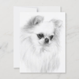 Gentle Chihuahua Hand målade teckningar Vykort