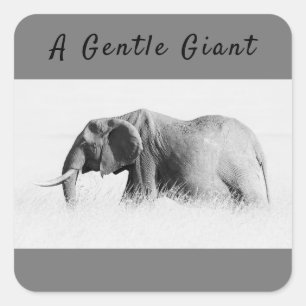 Gentle Giant Elephant High nyckel-foto med text Fyrkantigt Klistermärke