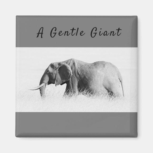Gentle Giant Elephant High nyckel-foto med text Magnet (Framsidan)