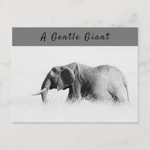 Gentle Giant Elephant High nyckel-foto med text Vykort