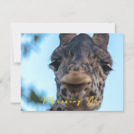 Gentle Giraffe Vykort