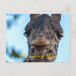 Gentle Giraffe Vykort