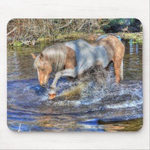 Gentle Palomino Pinto Stallion spelar i Pond Musmatta