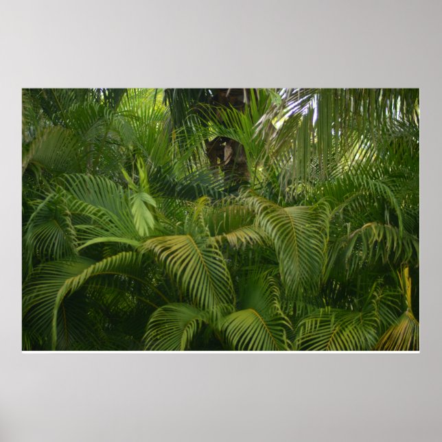 Gentle Reach Poster (Framsidan)