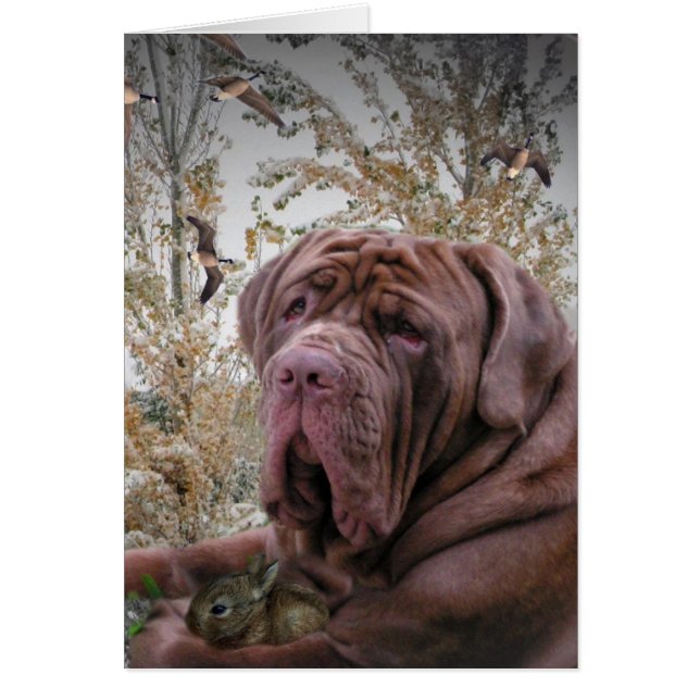 Gentle Side - Neopolitan Mastiff Hälsningskort (Framsidan)