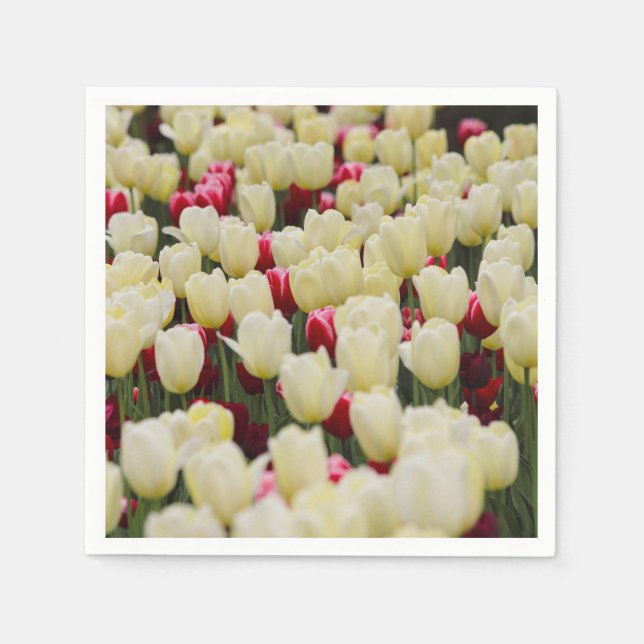 Gentle Vår blommor Pappersservett (Framsidan)