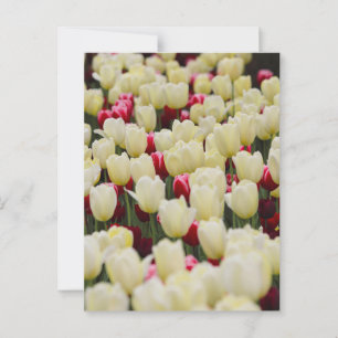 Gentle Vår blommor Vykort