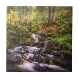 Gentle Waterfall Woodland Brook Kakelplatta