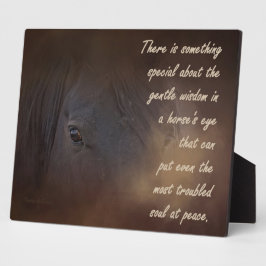 Gentle Wisdom i Horse's Öga
