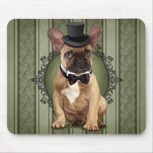 Gentlemanfranskbulldogg Musmatta