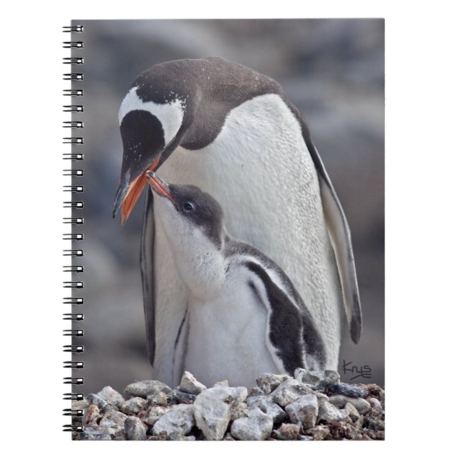 Gentoo- och kycklinganteckningsbok anteckningsbok (Framsidan)