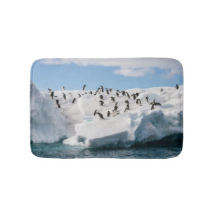 Gentoo Penguin Antarctica Iceberg-speltid Badrumsmatta