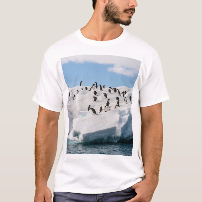 Gentoo Penguin Antarctica Iceberg-speltid T Shirt (Framsida)