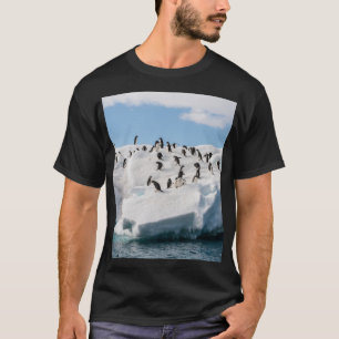 Gentoo Penguin Antarctica Iceberg-speltid T Shirt