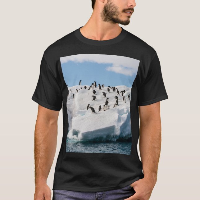 Gentoo Penguin Antarctica Iceberg-speltid T Shirt (Framsida)