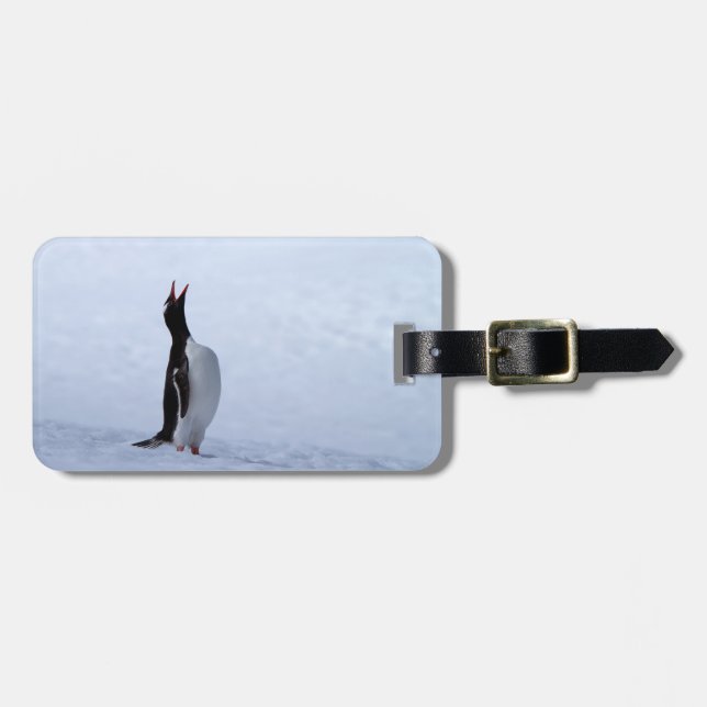 Gentoo penguin bagagebricka (Horisontell Framsida)