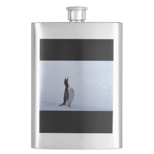 Gentoo penguin fickplunta