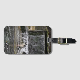 Gentoo Penguin & Friends Edinburgh Zoo Scotland Bagagebricka