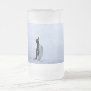 Gentoo penguin frostat ölglas