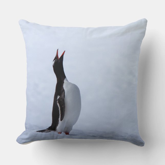 Gentoo penguin kudde (Framsida)