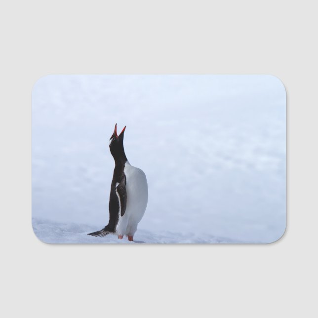 Gentoo penguin namnbricka (Framsida)