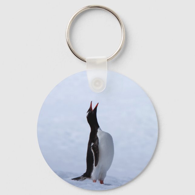 Gentoo penguin nyckelring (Framsida)