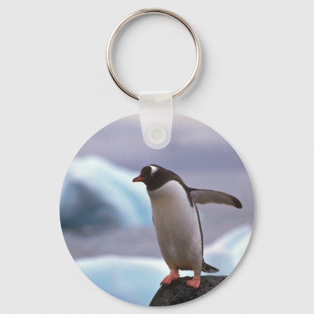 Gentoo Penguin Nyckelring (Framsida)
