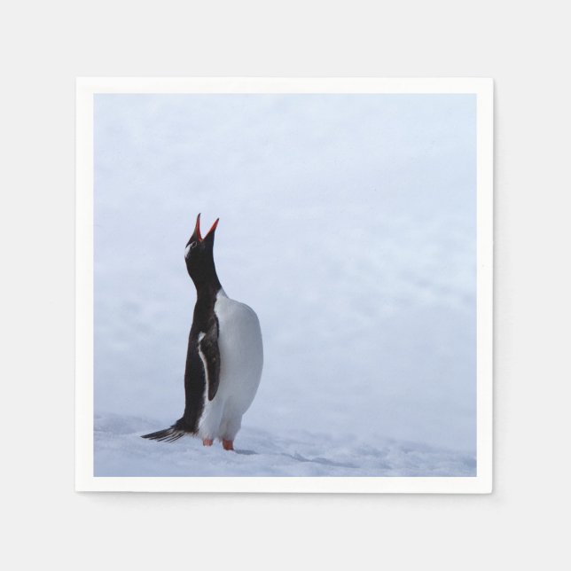 Gentoo penguin pappersservett (Framsidan)