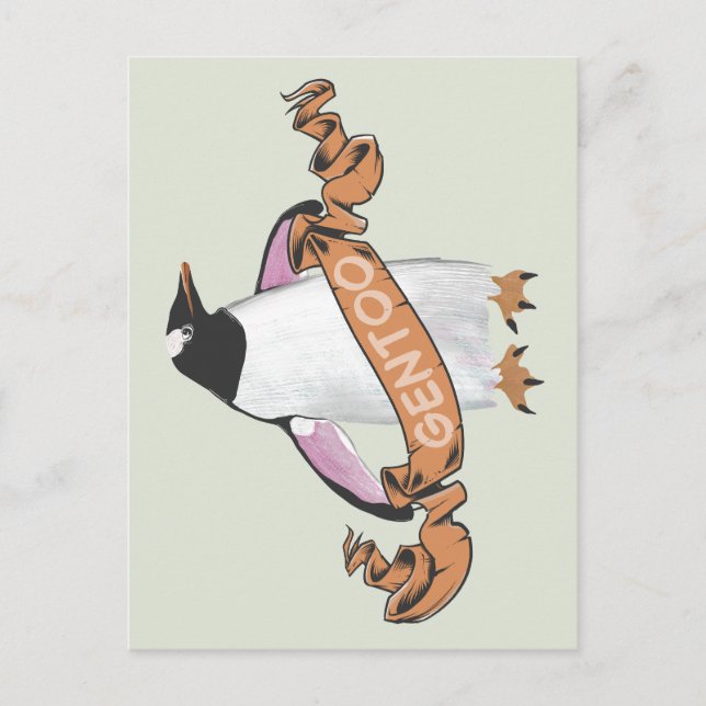 Gentoo penguin vykort (Framsida)