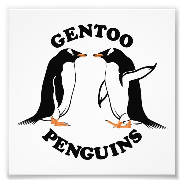 Gentoo Penguins Fototryck (Framsidan)