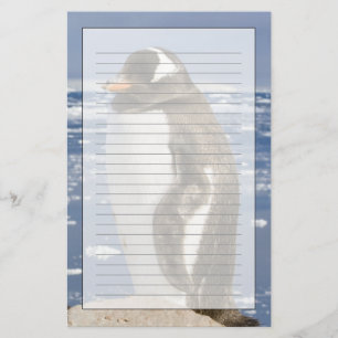 Gentoo pingvin brevpapper