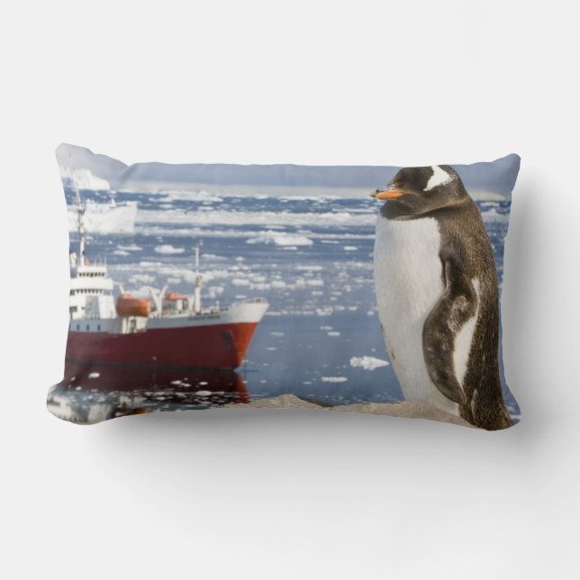 Gentoo pingvin lumbarkudde (Framsida)