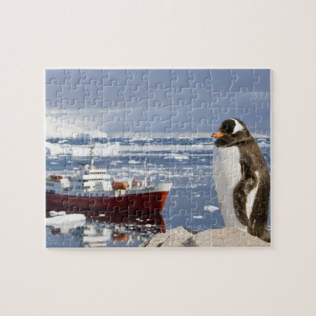 Gentoo pingvin pussel (Horisontell)