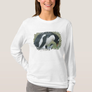 Gentoo Pingvin, (Pygoscelis papua), Falkland T-shirt