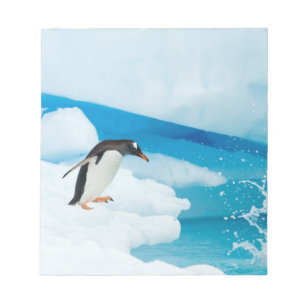 gentoo pingvin, Pygoscelis Papua, hoppar av Anteckningsblock