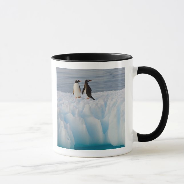 gentoo pingvin, Pygoscelis Papua, på glacial is Mugg (Höger)