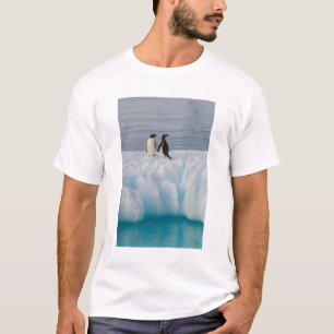 gentoo pingvin, Pygoscelis Papua, på glacial is Tee Shirt