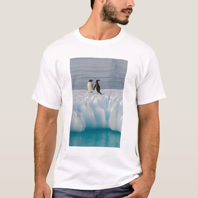 gentoo pingvin, Pygoscelis Papua, på glacial is Tee Shirt (Framsida)