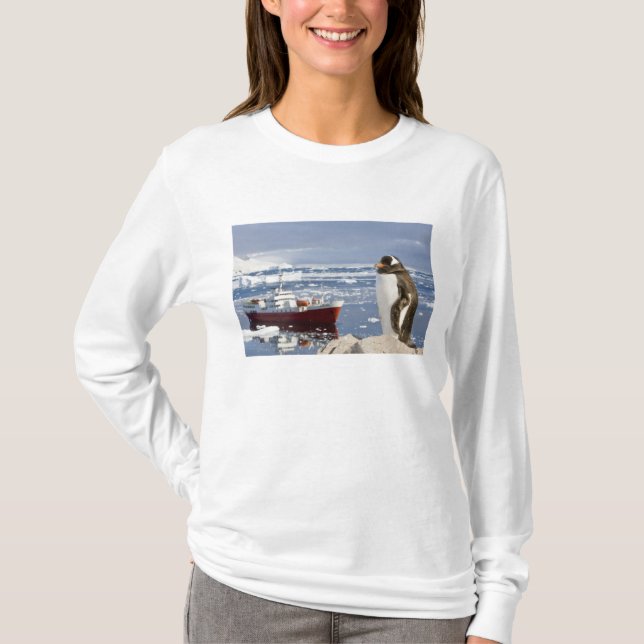 Gentoo pingvin tee (Framsida)