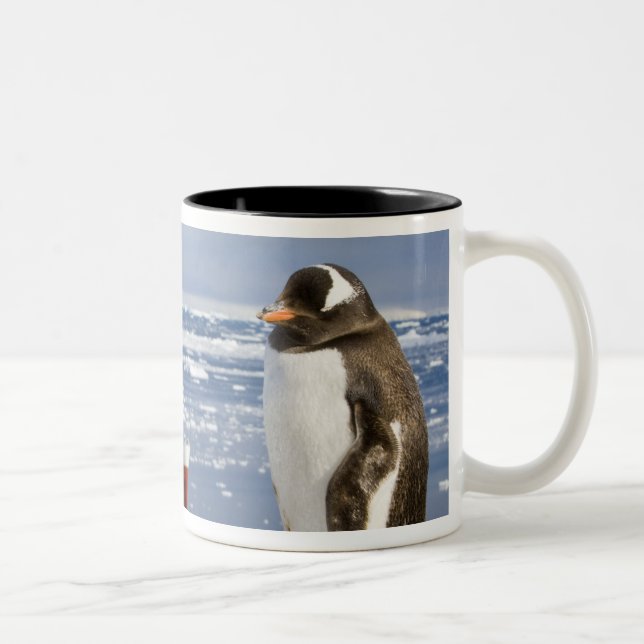 Gentoo pingvin Två-Tonad mugg (Höger)