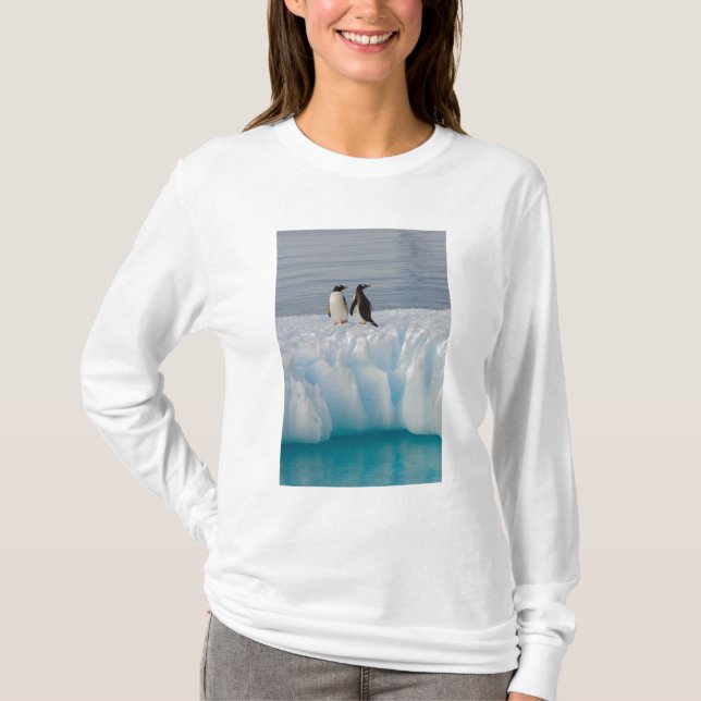 gentoopingvin, Pygoscelis Papua, på glacial is T Shirt (Framsida)
