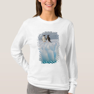 gentoopingvin, Pygoscelis Papua, på glacial is T Shirt